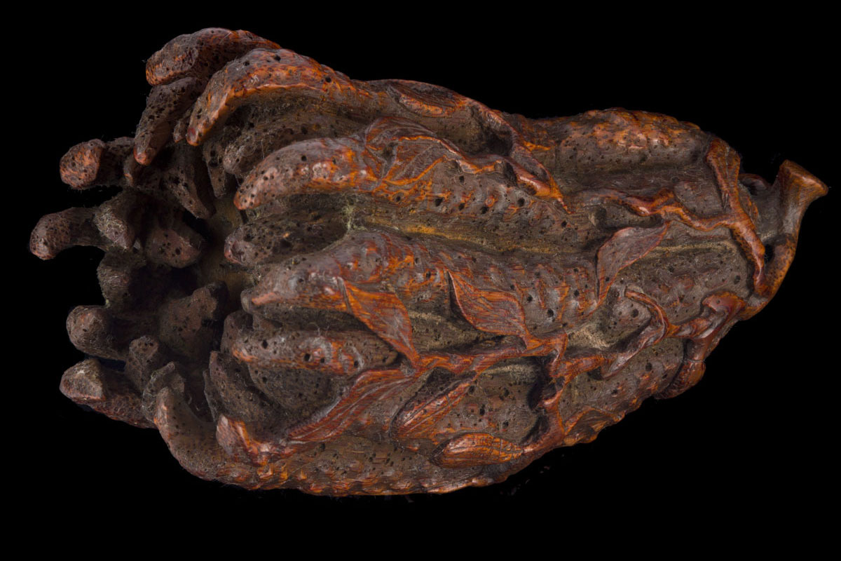 An 18th century Finger citrus hand of Buddha